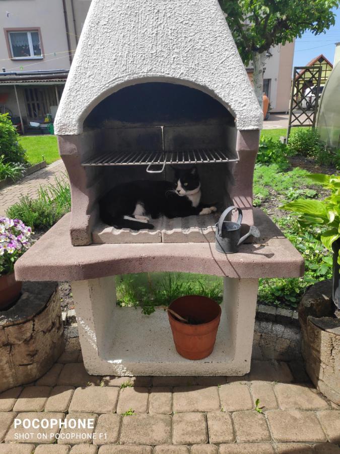 Pokoje Goscinne Moli Леба Екстериор снимка